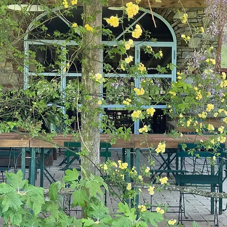 Villa La Cenerara - 14 Pers Groppovisdomo