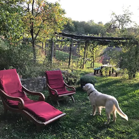 Villa La Cenerara - 14 Pers Groppovisdomo