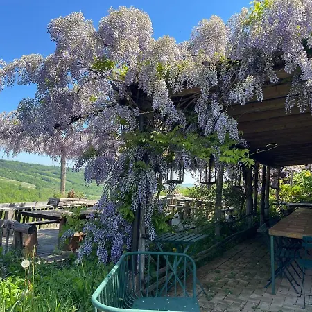Villa La Cenerara - 14 Pers Groppovisdomo