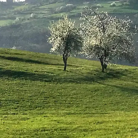 Villa La Cenerara - 14 Pers Groppovisdomo